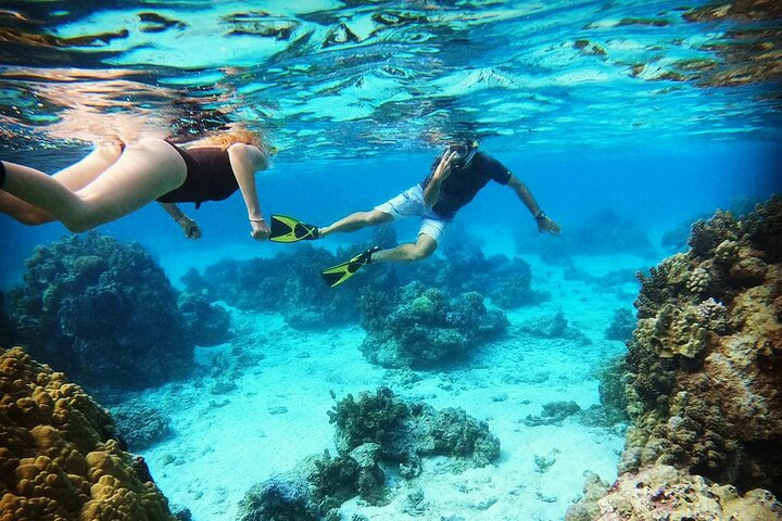 Mo'orea Half Day Private Tour with Snorkeling and Cruising the Lagoon  - Photo 1 of 13